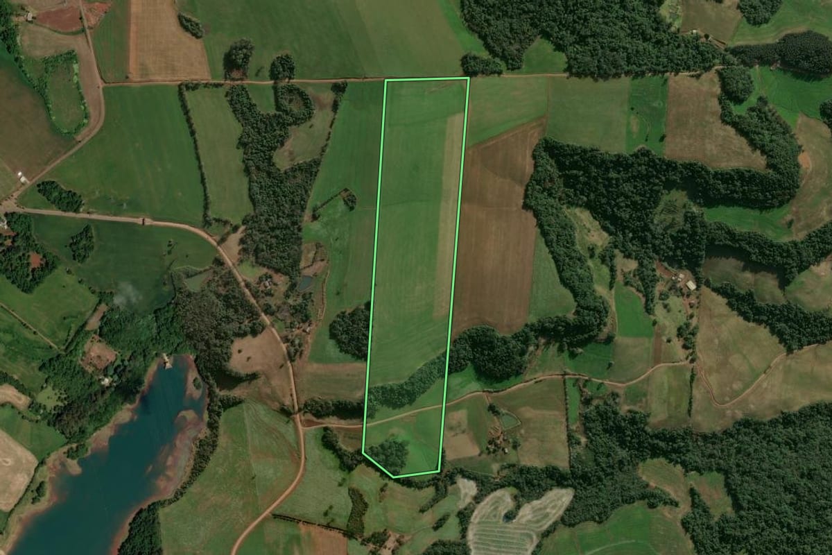 Imagem de satélite do imóvel rural em Entre Rios do Sul (RS), com o contorno declarado no CAR desenhado por cima.