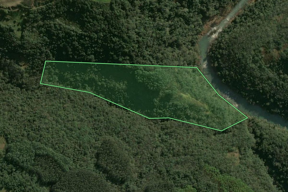 Imagem de satélite do imóvel rural em Entre Rios do Sul (RS), com o contorno declarado no CAR desenhado por cima.