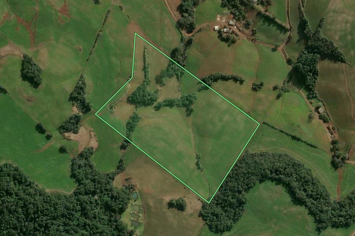 Imagem de satélite do imóvel rural em Entre Rios do Sul (RS), com o contorno declarado no CAR desenhado por cima.