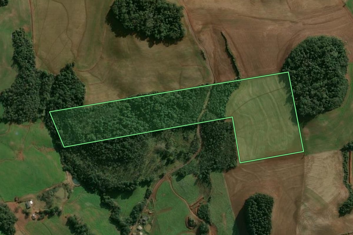 Imagem de satélite do imóvel rural em Entre Rios do Sul (RS), com o contorno declarado no CAR desenhado por cima.