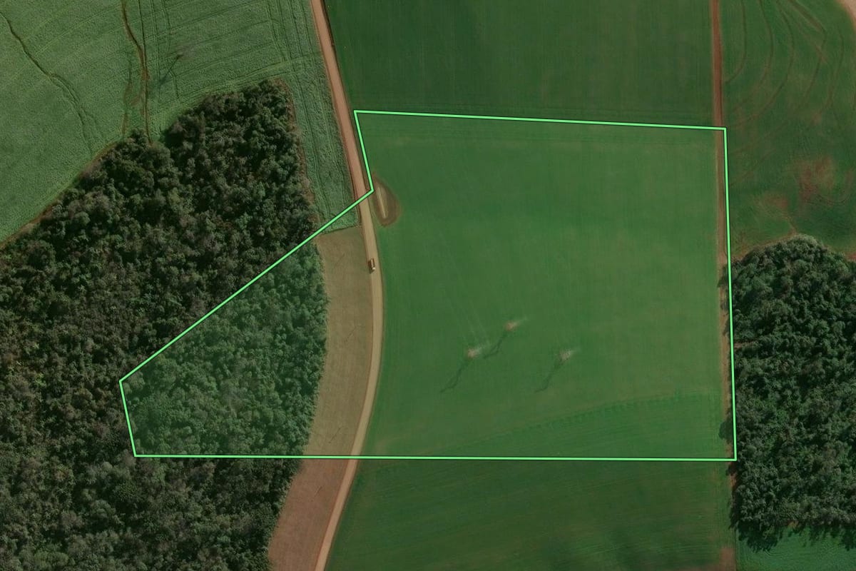 Imagem de satélite do imóvel rural em Entre Rios do Sul (RS), com o contorno declarado no CAR desenhado por cima.