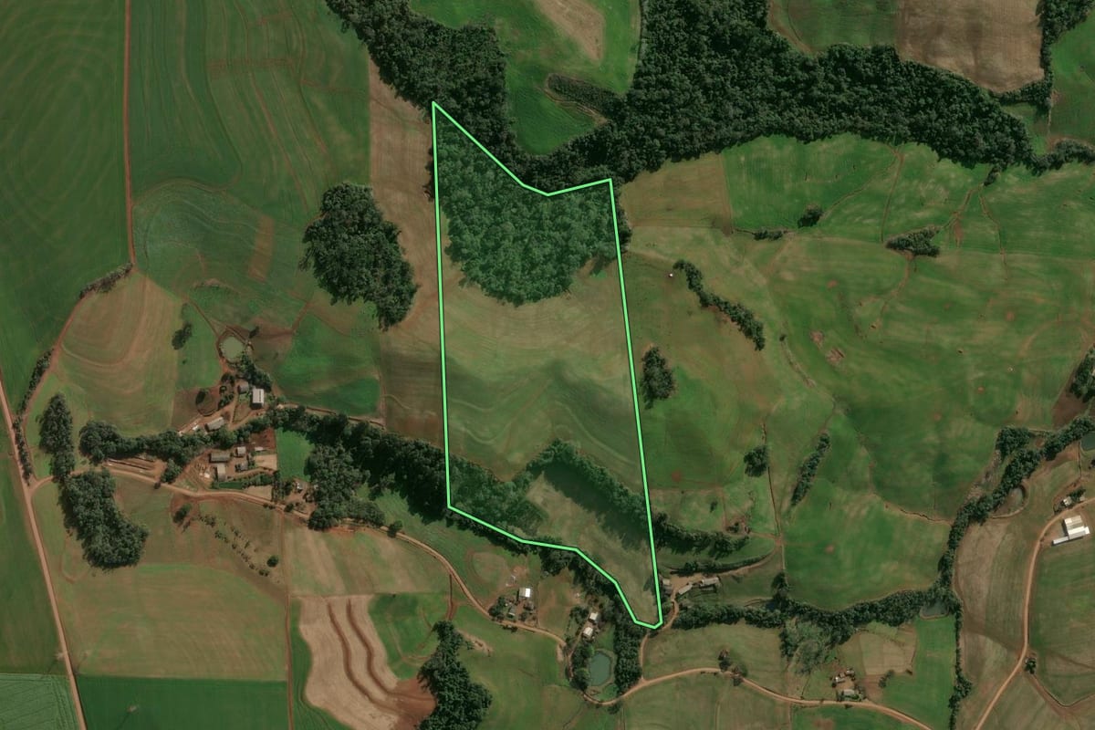 Imagem de satélite do imóvel rural em Entre Rios do Sul (RS), com o contorno declarado no CAR desenhado por cima.