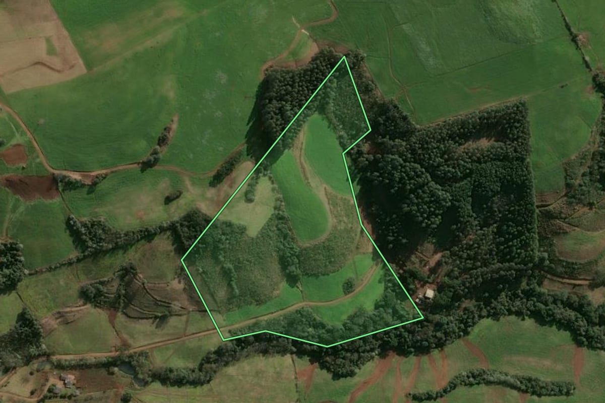 Imagem de satélite do imóvel rural em Entre Rios do Sul (RS), com o contorno declarado no CAR desenhado por cima.