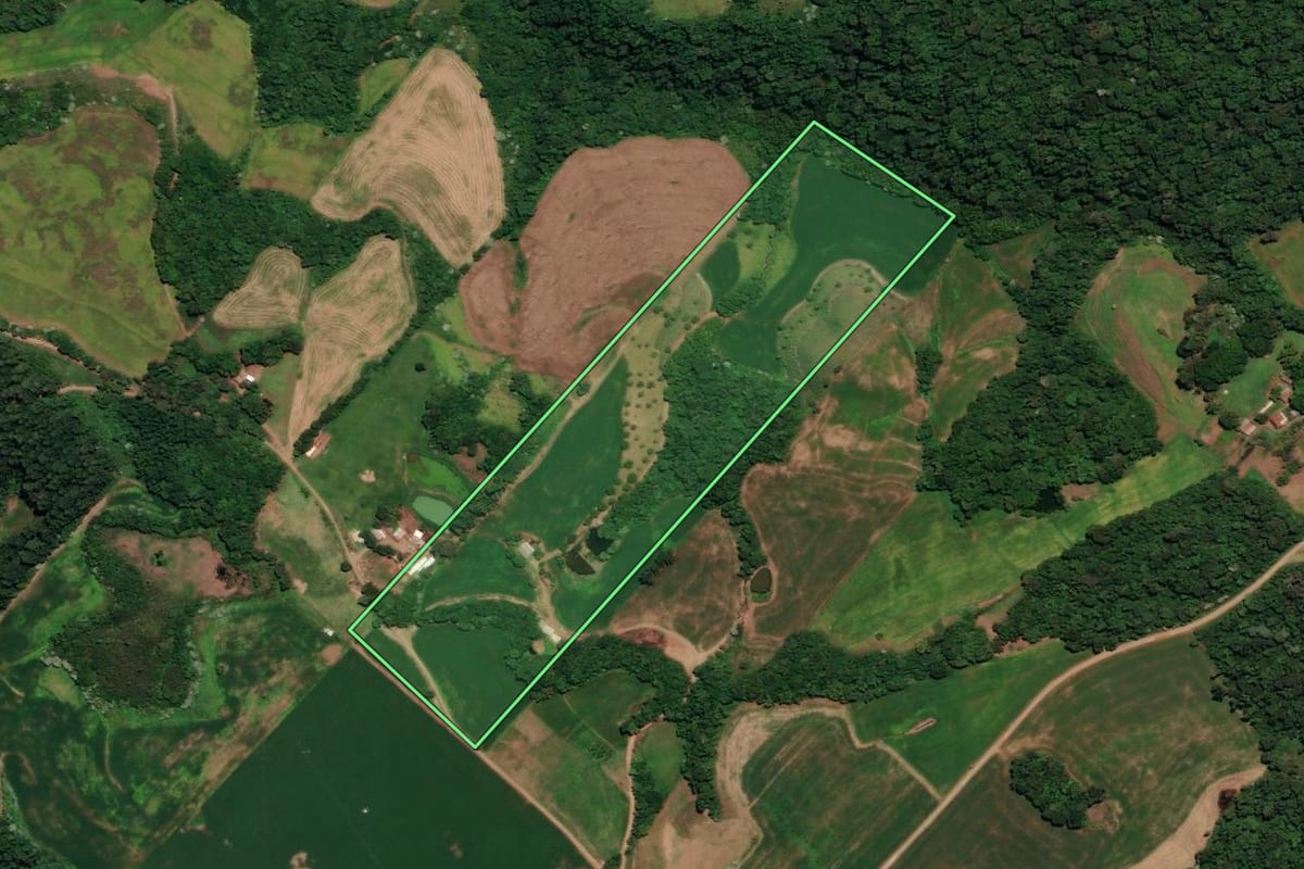 Imagem de satélite do imóvel rural em Entre Rios do Sul (RS), com o contorno declarado no CAR desenhado por cima.