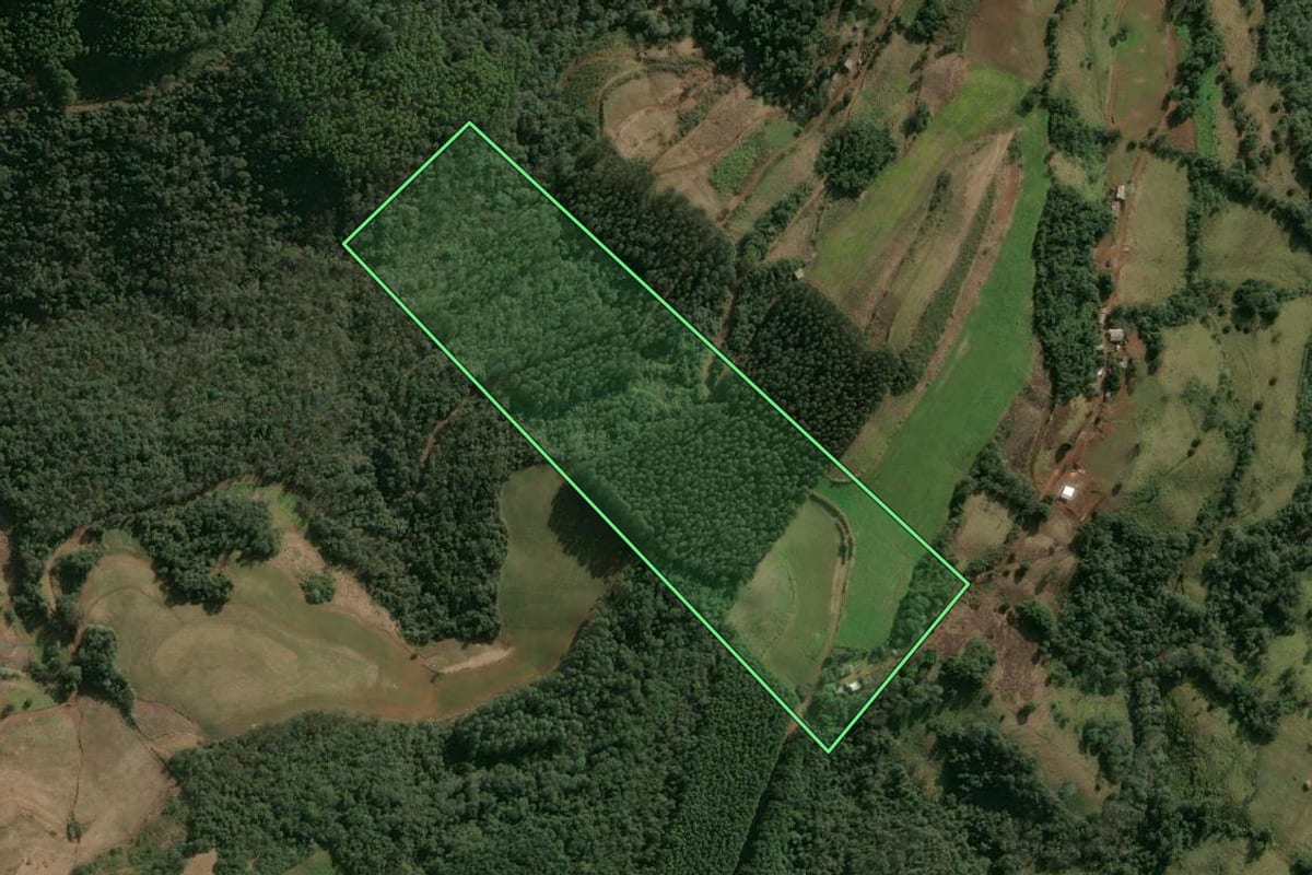 Imagem de satélite do imóvel rural em Entre Rios do Sul (RS), com o contorno declarado no CAR desenhado por cima.