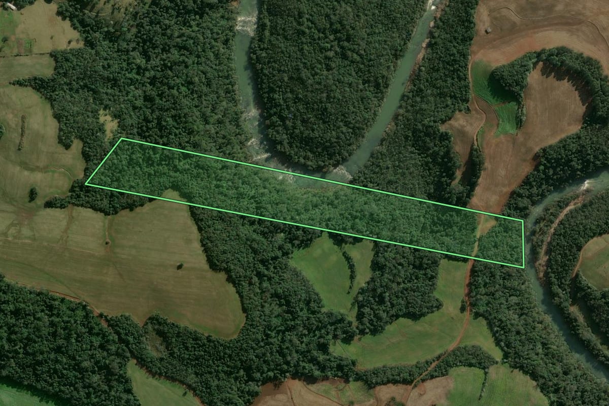 Imagem de satélite do imóvel rural em Entre Rios do Sul (RS), com o contorno declarado no CAR desenhado por cima.