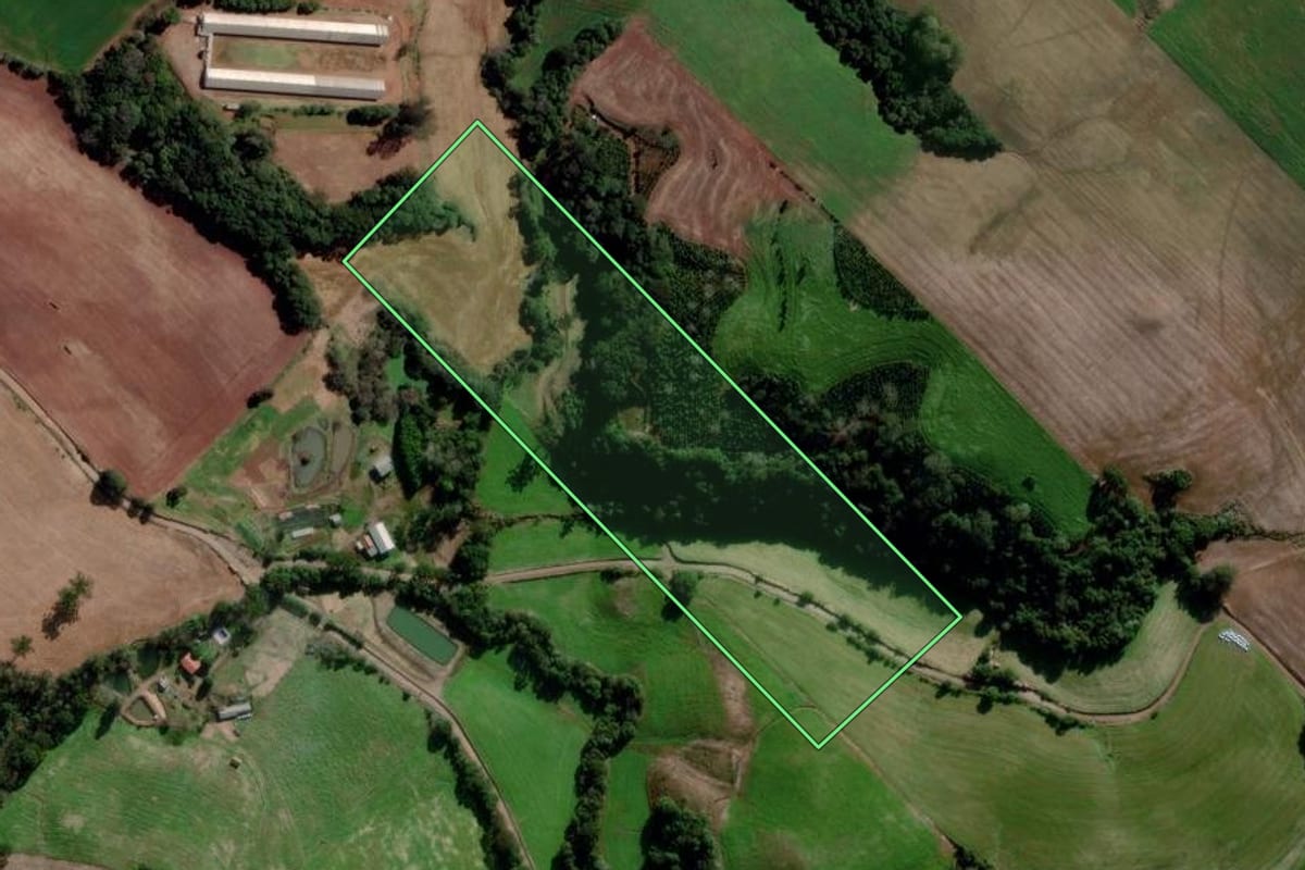 Imagem de satélite do imóvel rural em Erebango (RS), com o contorno declarado no CAR desenhado por cima.