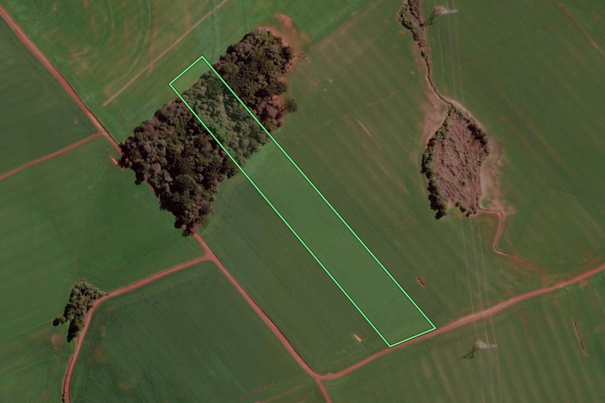 Imagem de satélite do imóvel rural em Erebango (RS), com o contorno declarado no CAR desenhado por cima.