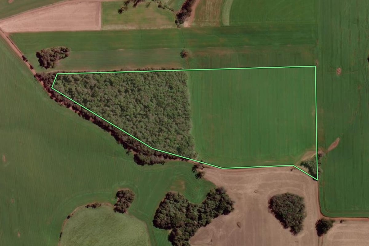 Imagem de satélite do imóvel rural em Erebango (RS), com o contorno declarado no CAR desenhado por cima.