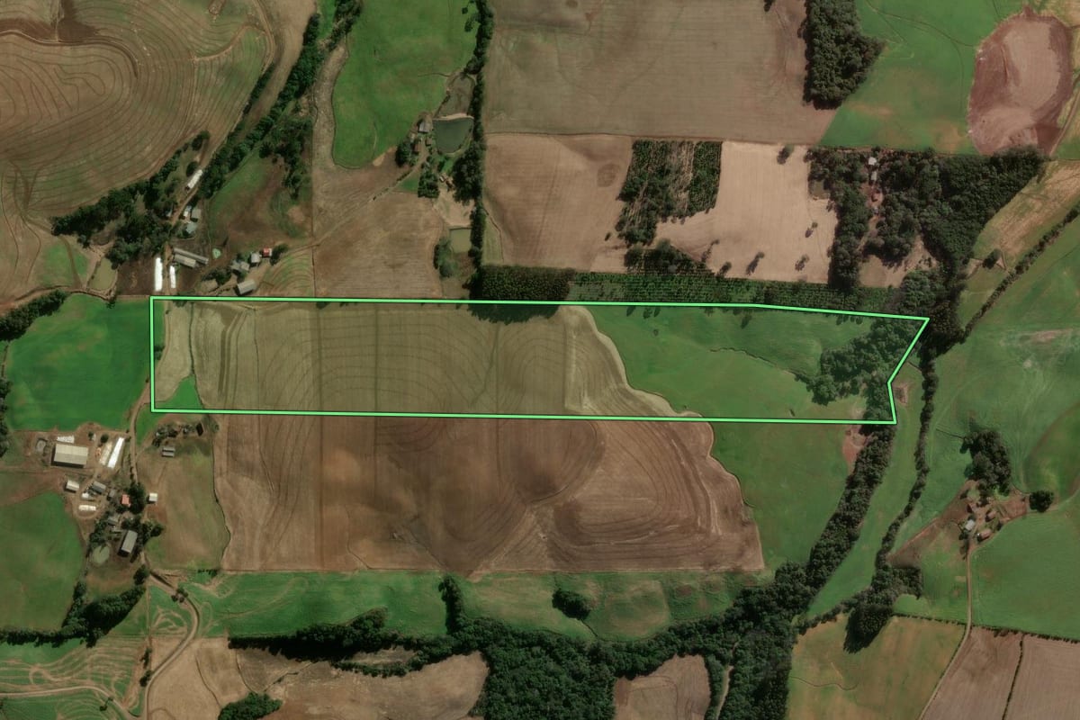 Imagem de satélite do imóvel rural em Erechim (RS), com o contorno declarado no CAR desenhado por cima.
