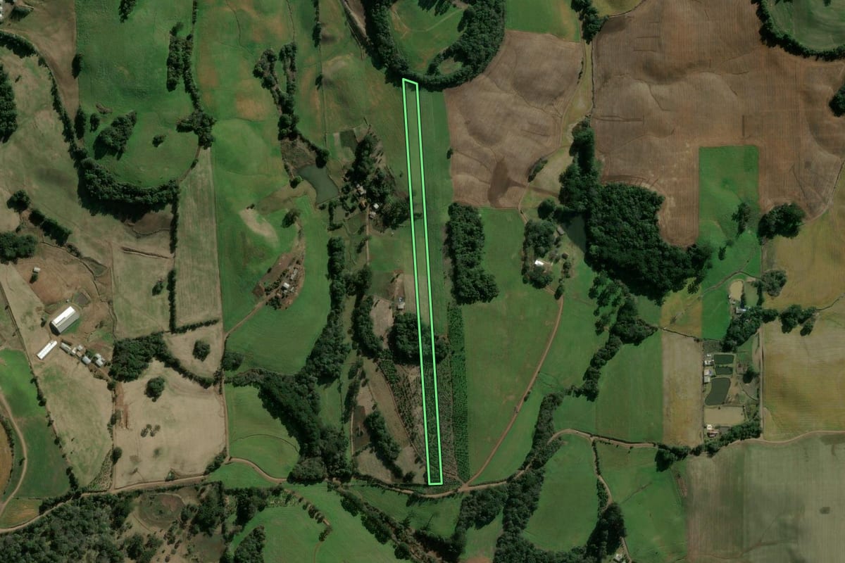 Imagem de satélite do imóvel rural em Erechim (RS), com o contorno declarado no CAR desenhado por cima.