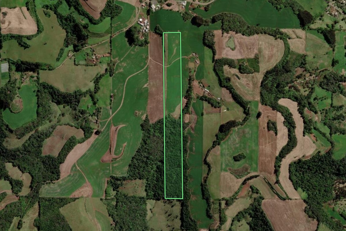 Imagem de satélite do imóvel rural em Erechim (RS), com o contorno declarado no CAR desenhado por cima.