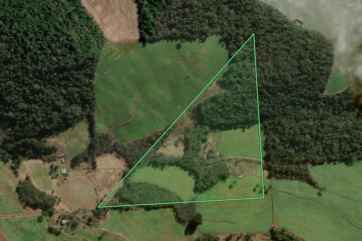 Imagem de satélite do imóvel rural em Erechim (RS), com o contorno declarado no CAR desenhado por cima.