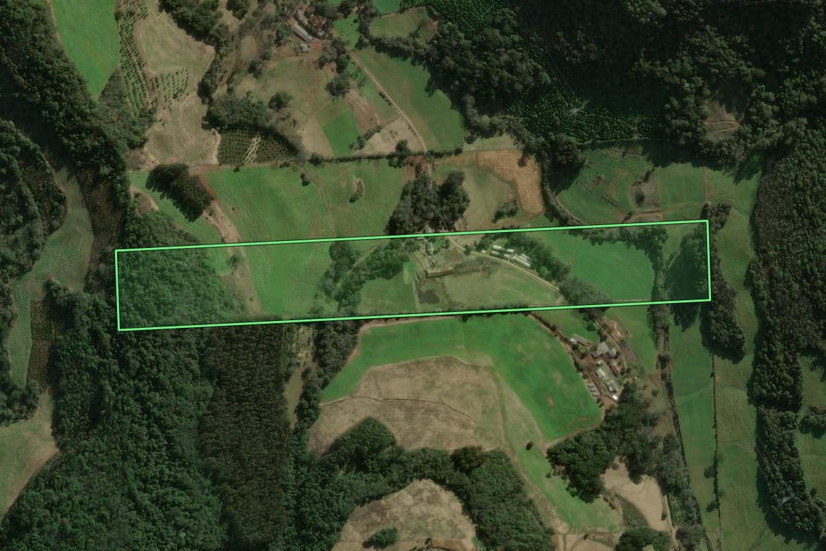 Imagem de satélite do imóvel rural em Erechim (RS), com o contorno declarado no CAR desenhado por cima.