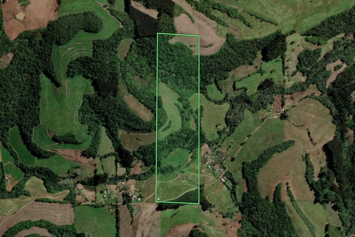 Imagem de satélite do imóvel rural em Erechim (RS), com o contorno declarado no CAR desenhado por cima.