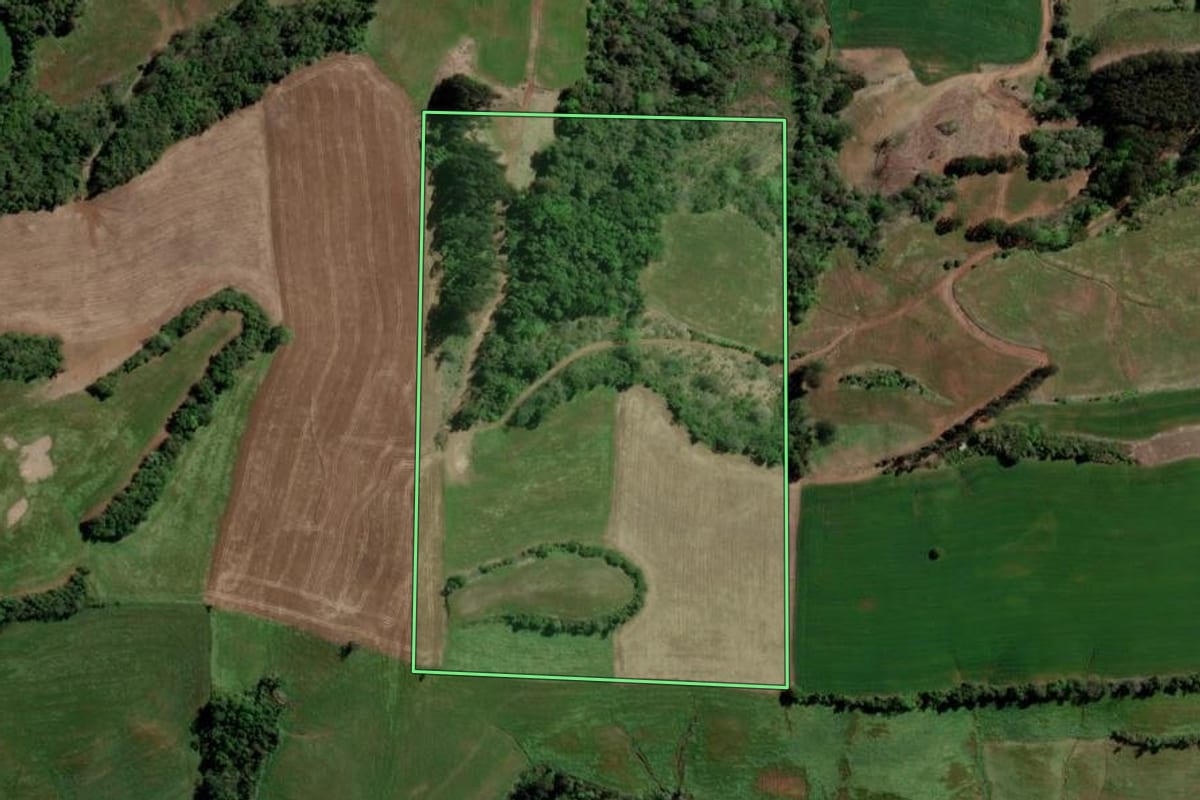 Imagem de satélite do imóvel rural em Erechim (RS), com o contorno declarado no CAR desenhado por cima.