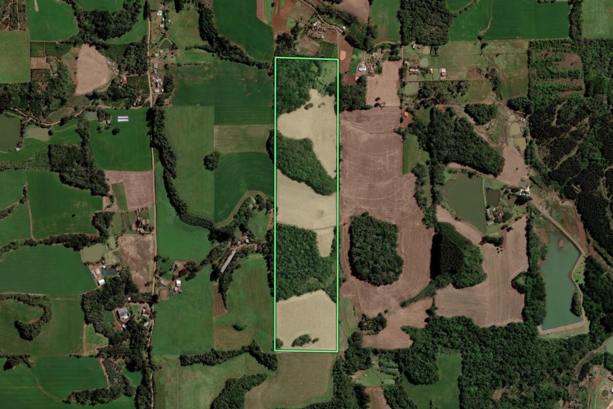 Imagem de satélite do imóvel rural em Erechim (RS), com o contorno declarado no CAR desenhado por cima.