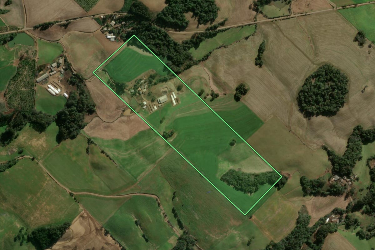 Imagem de satélite do imóvel rural em Erechim (RS), com o contorno declarado no CAR desenhado por cima.