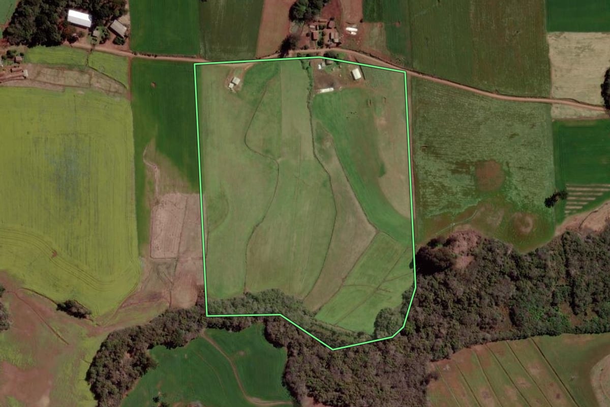 Imagem de satélite do imóvel rural em Erechim (RS), com o contorno declarado no CAR desenhado por cima.