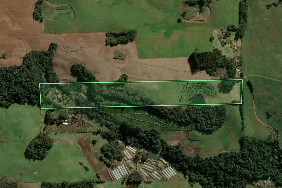 Imagem de satélite do imóvel rural em Erechim (RS), com o contorno declarado no CAR desenhado por cima.