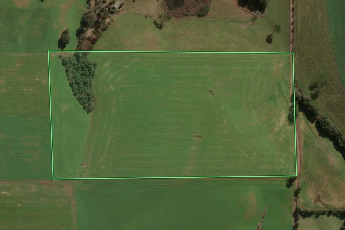Imagem de satélite do imóvel rural em Erechim (RS), com o contorno declarado no CAR desenhado por cima.