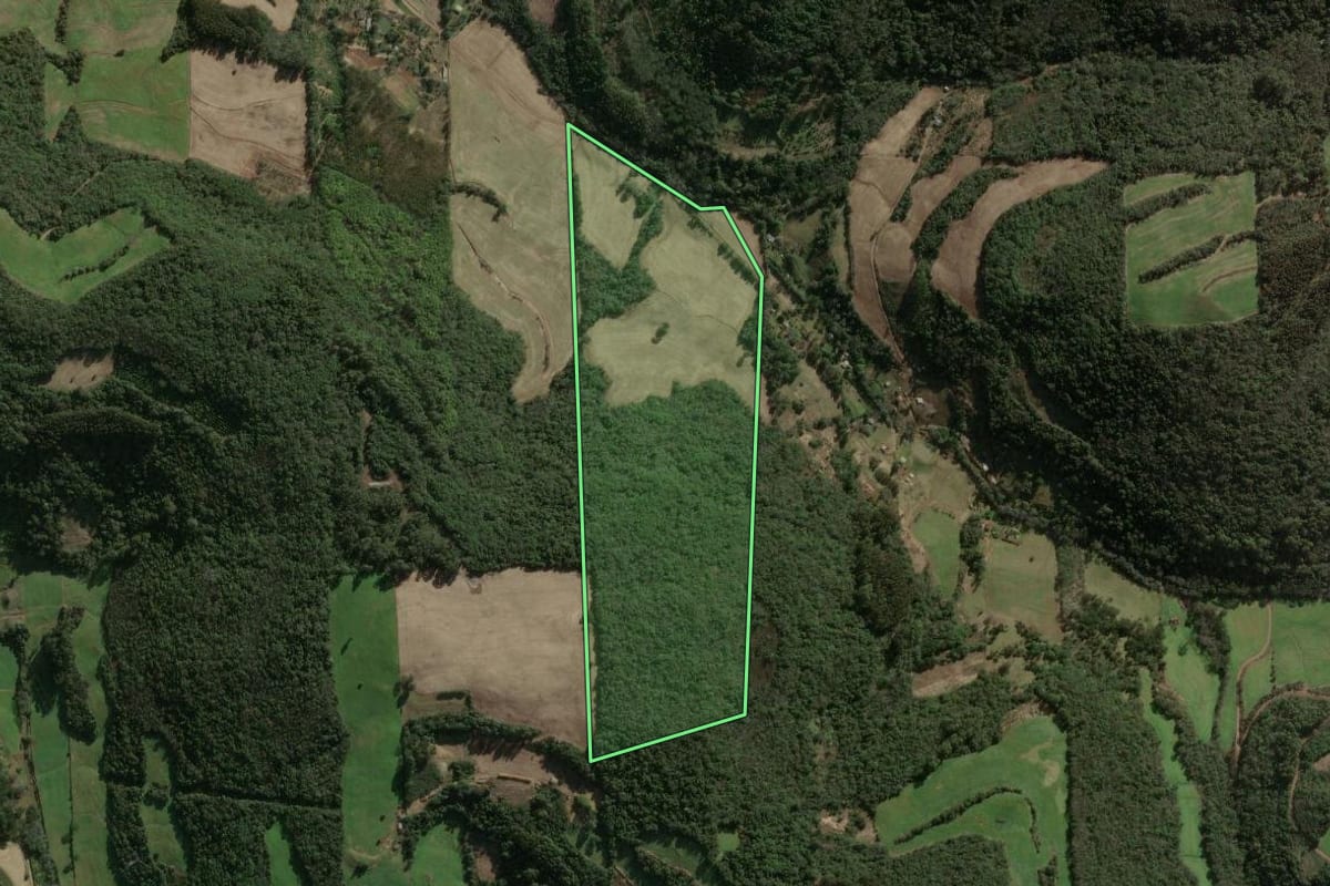 Imagem de satélite do imóvel rural em Erechim (RS), com o contorno declarado no CAR desenhado por cima.