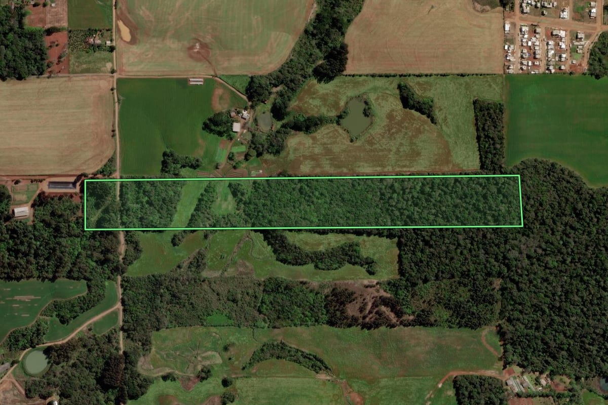 Imagem de satélite do imóvel rural em Erechim (RS), com o contorno declarado no CAR desenhado por cima.