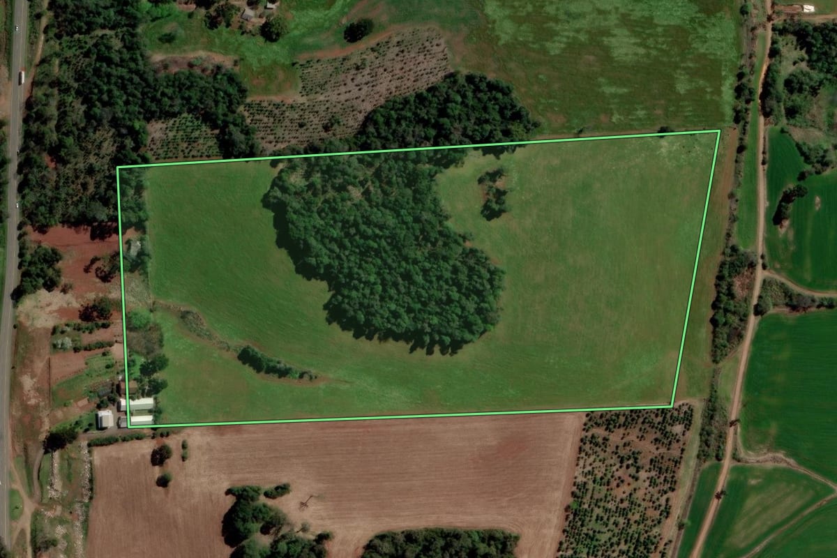 Imagem de satélite do imóvel rural em Erechim (RS), com o contorno declarado no CAR desenhado por cima.