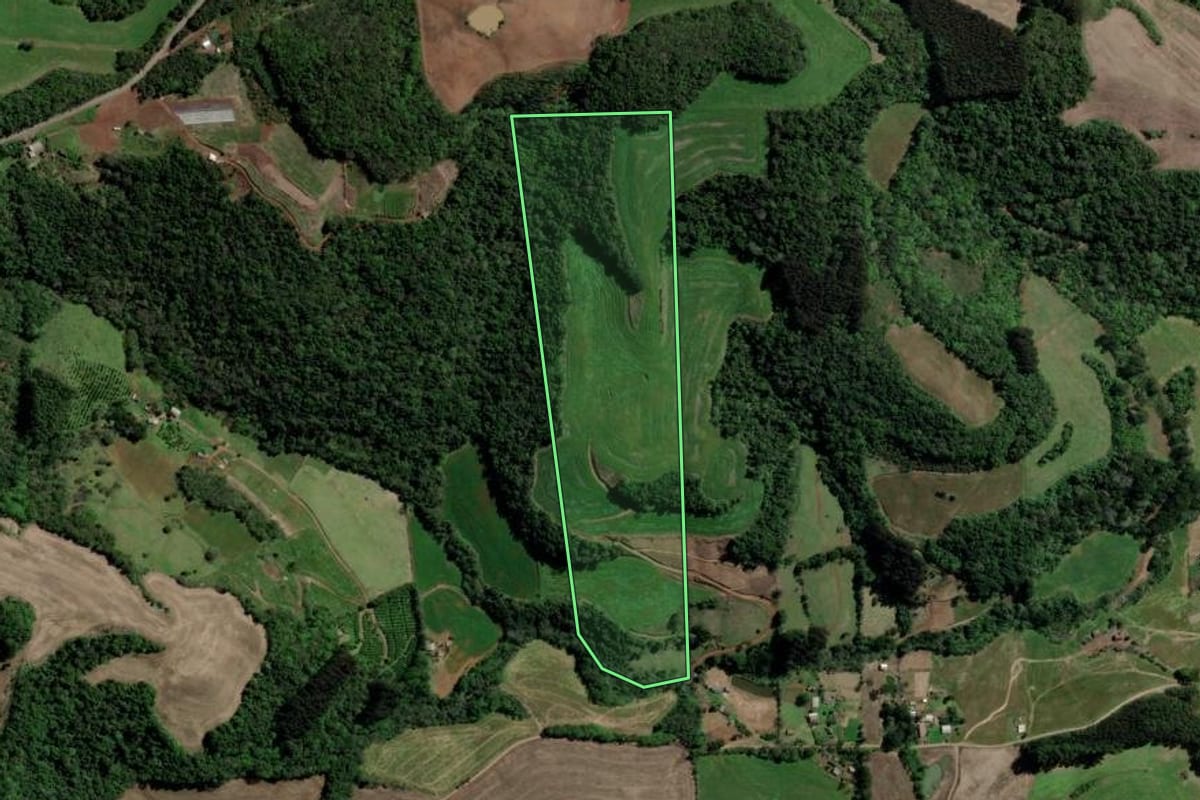 Imagem de satélite do imóvel rural em Erechim (RS), com o contorno declarado no CAR desenhado por cima.