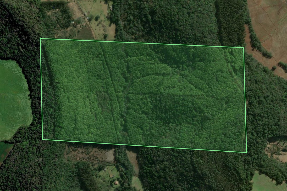 Imagem de satélite do imóvel rural em Erechim (RS), com o contorno declarado no CAR desenhado por cima.