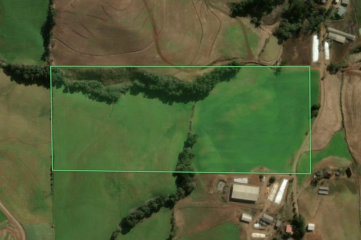 Imagem de satélite do imóvel rural em Erechim (RS), com o contorno declarado no CAR desenhado por cima.