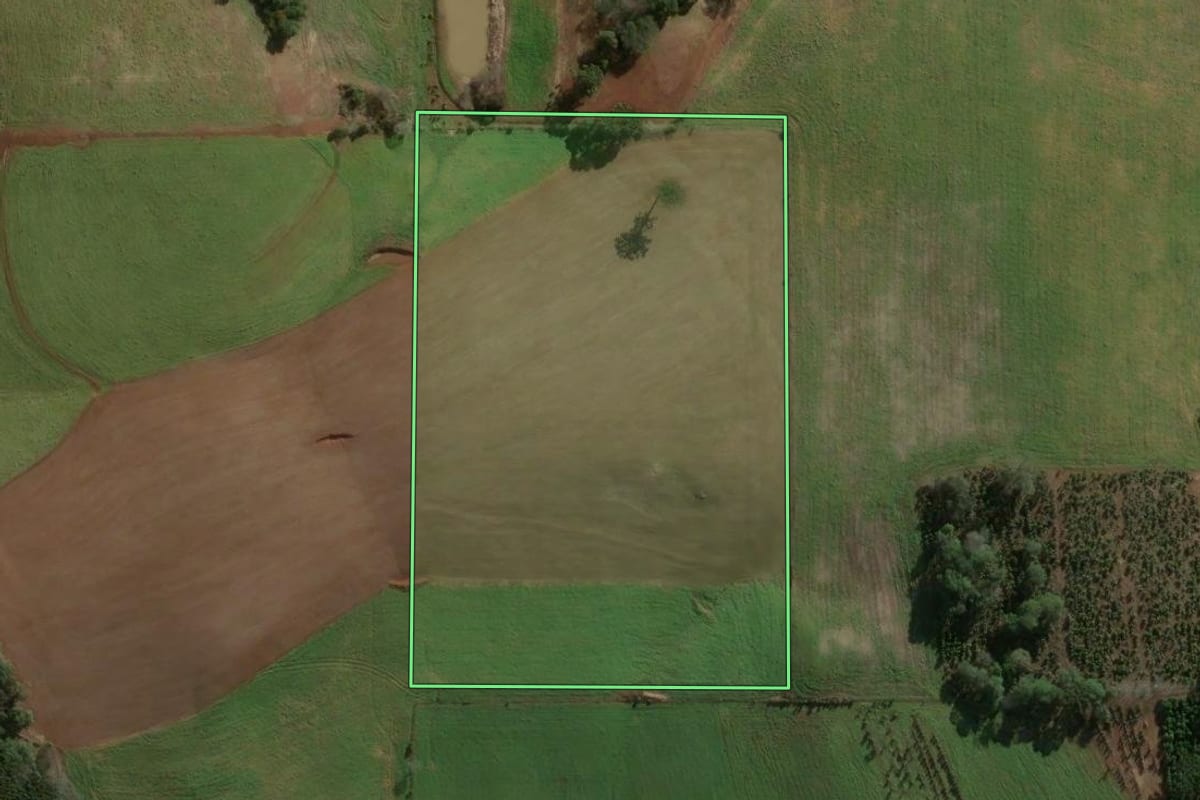 Imagem de satélite do imóvel rural em Erechim (RS), com o contorno declarado no CAR desenhado por cima.