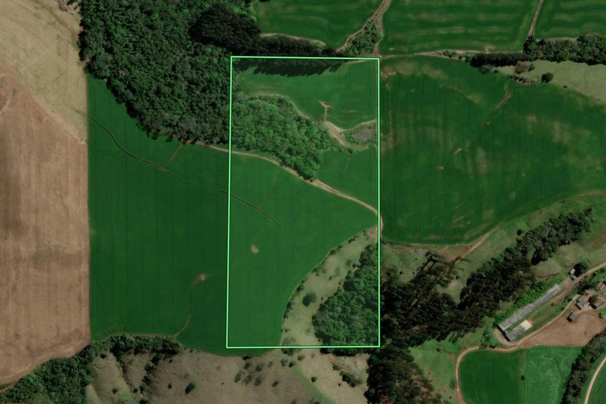 Imagem de satélite do imóvel rural em Erechim (RS), com o contorno declarado no CAR desenhado por cima.