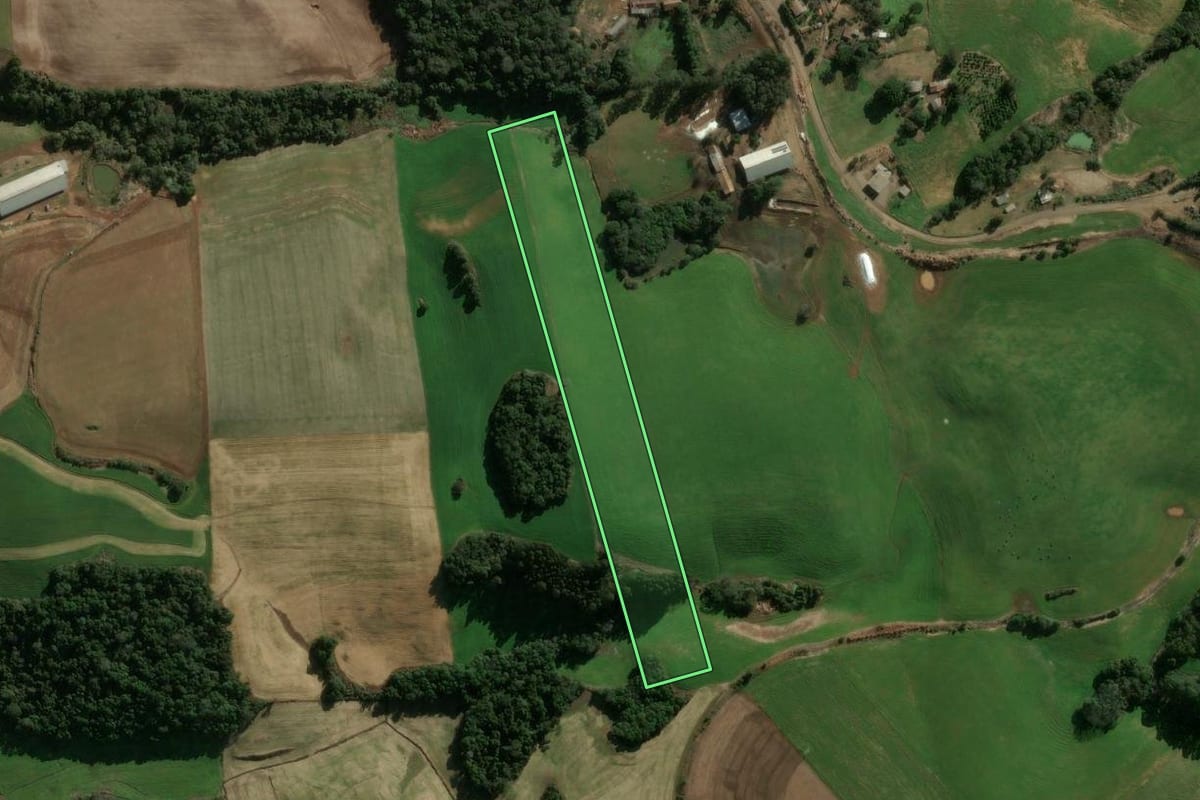 Imagem de satélite do imóvel rural em Erechim (RS), com o contorno declarado no CAR desenhado por cima.