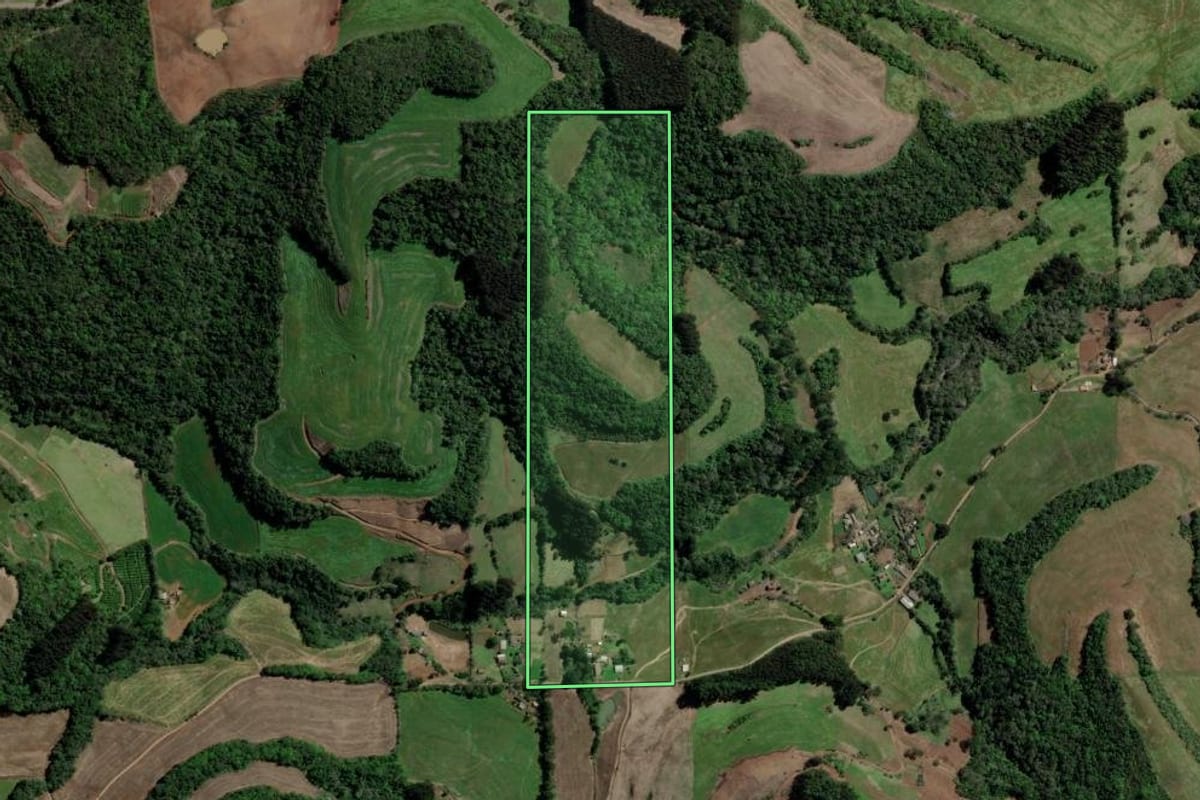 Imagem de satélite do imóvel rural em Erechim (RS), com o contorno declarado no CAR desenhado por cima.