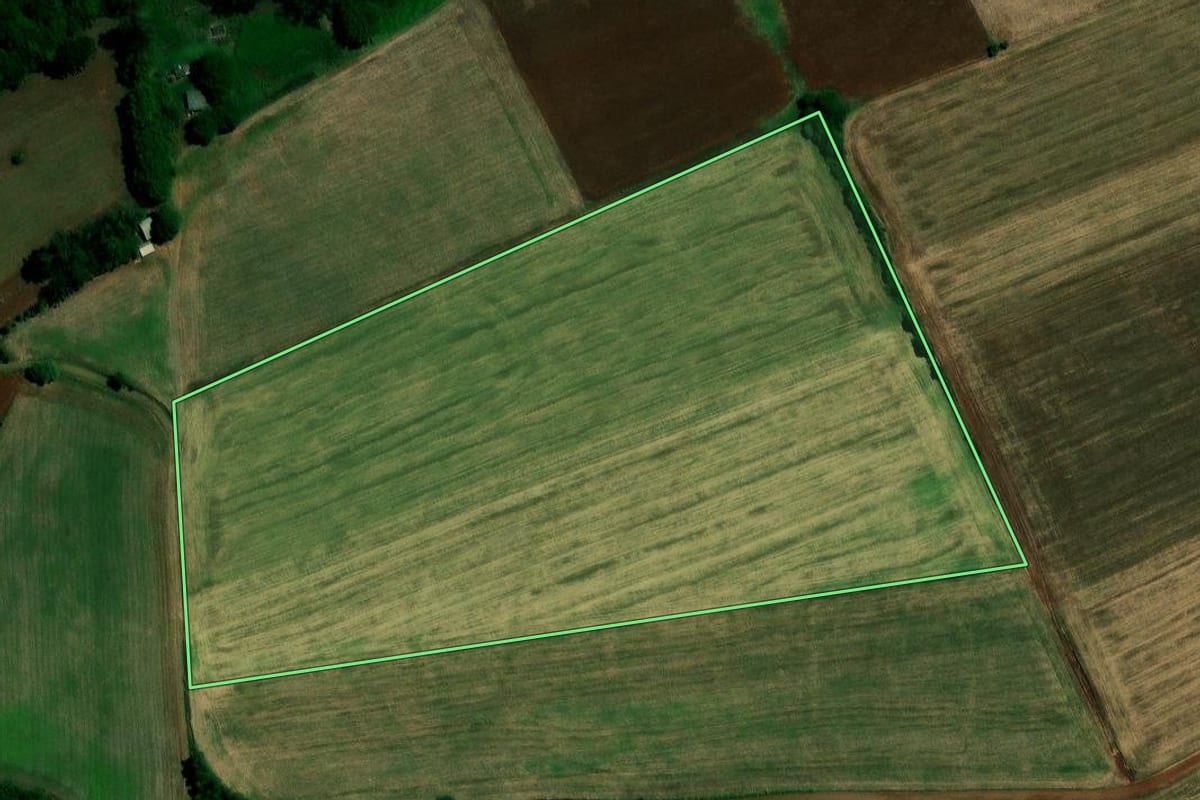 Imagem de satélite do imóvel rural em Ernestina (RS), com o contorno declarado no CAR desenhado por cima.