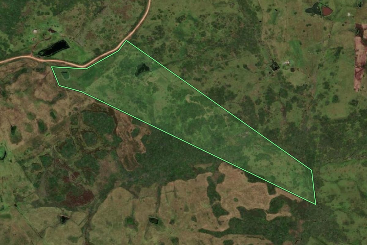 Imagem de satélite do imóvel rural em Herval (RS), com o contorno declarado no CAR desenhado por cima.