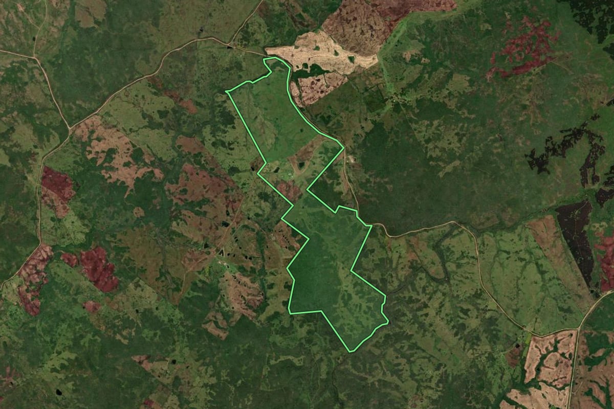 Imagem de satélite do imóvel rural em Herval (RS), com o contorno declarado no CAR desenhado por cima.