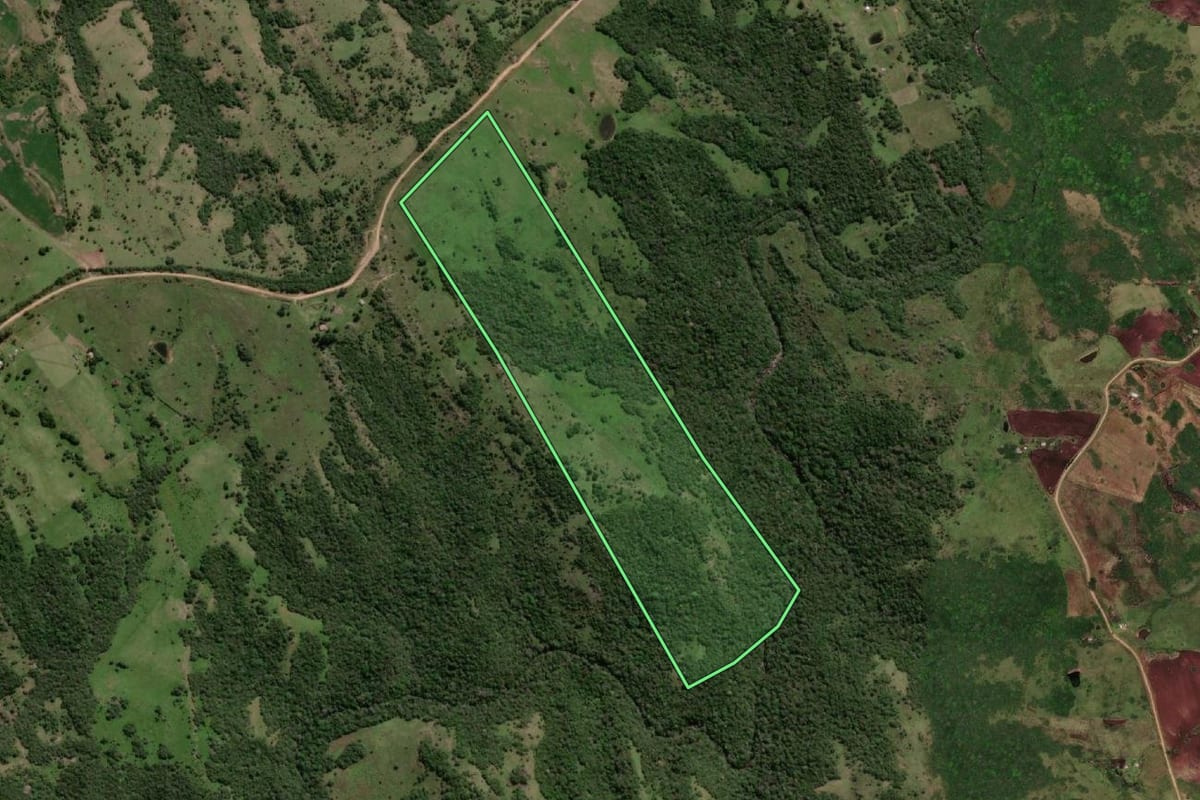 Imagem de satélite do imóvel rural em Herval (RS), com o contorno declarado no CAR desenhado por cima.