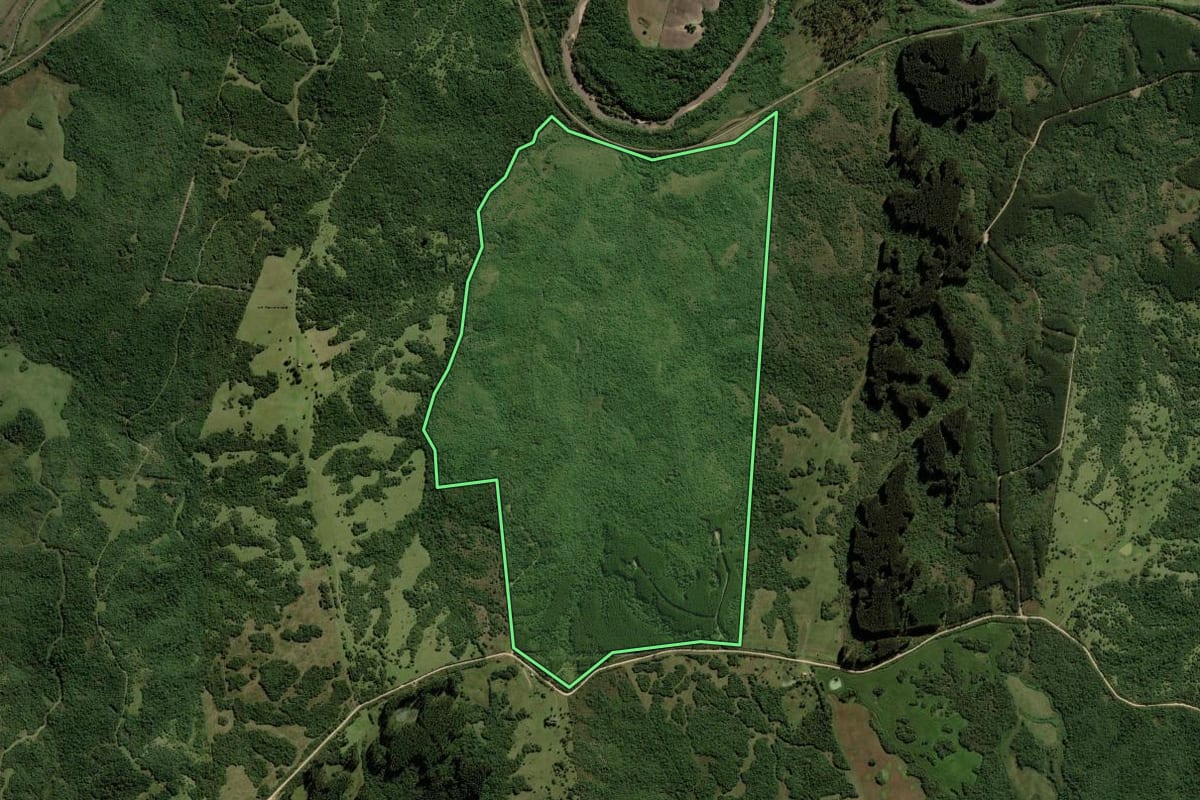 Imagem de satélite do imóvel rural em Herval (RS), com o contorno declarado no CAR desenhado por cima.