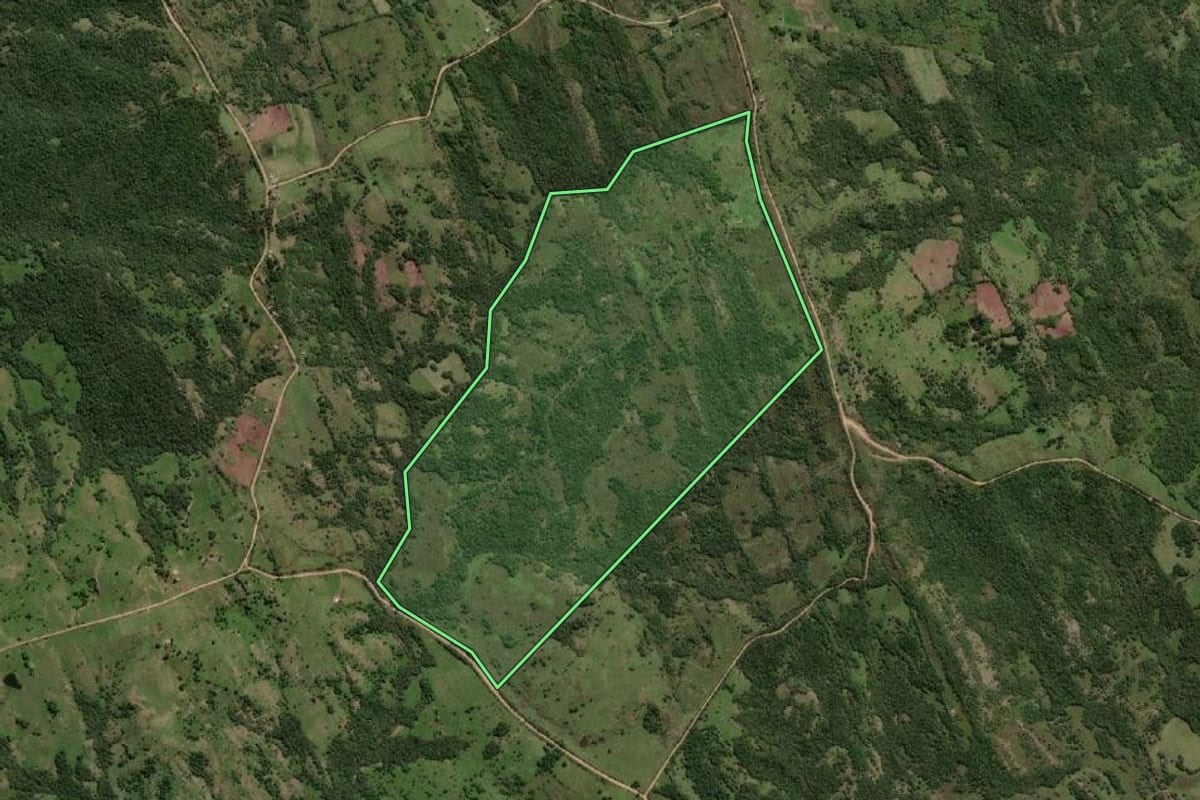 Imagem de satélite do imóvel rural em Herval (RS), com o contorno declarado no CAR desenhado por cima.