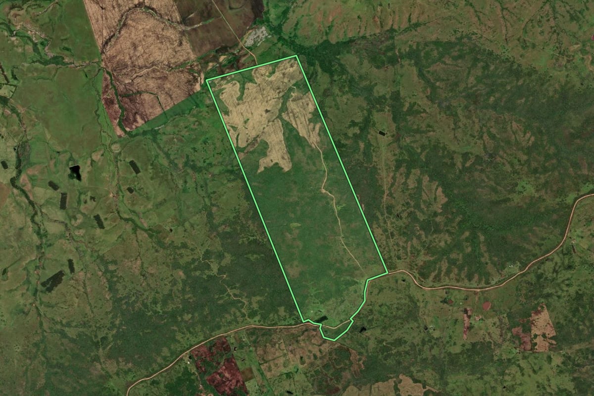 Imagem de satélite do imóvel rural em Herval (RS), com o contorno declarado no CAR desenhado por cima.