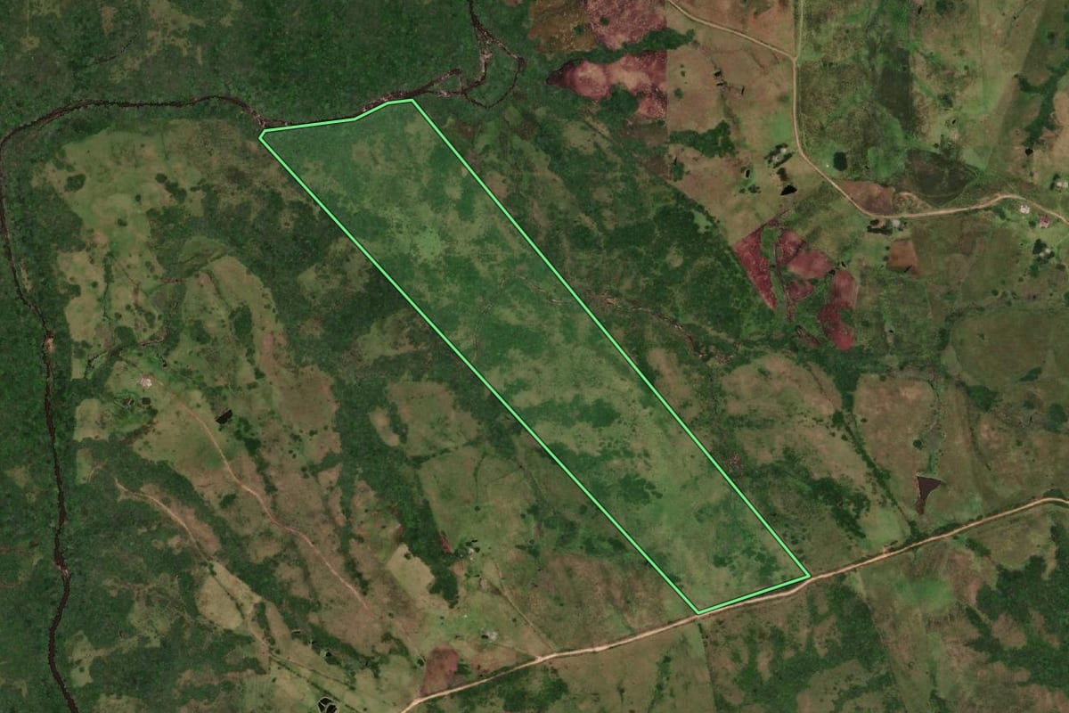 Imagem de satélite do imóvel rural em Herval (RS), com o contorno declarado no CAR desenhado por cima.