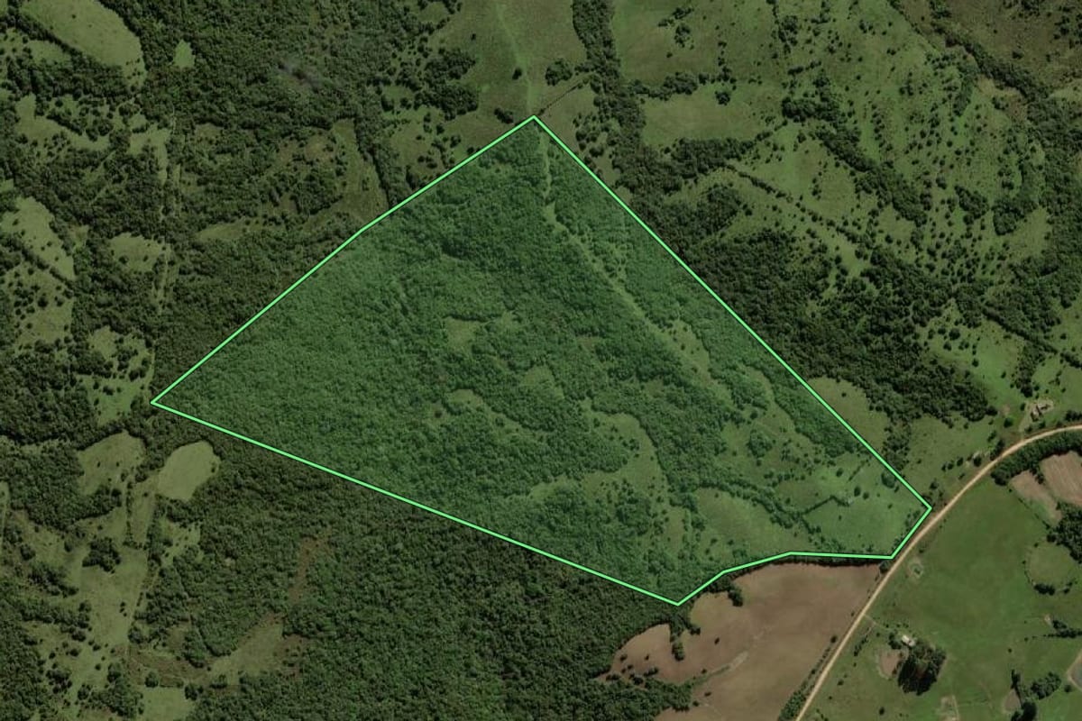 Imagem de satélite do imóvel rural em Herval (RS), com o contorno declarado no CAR desenhado por cima.