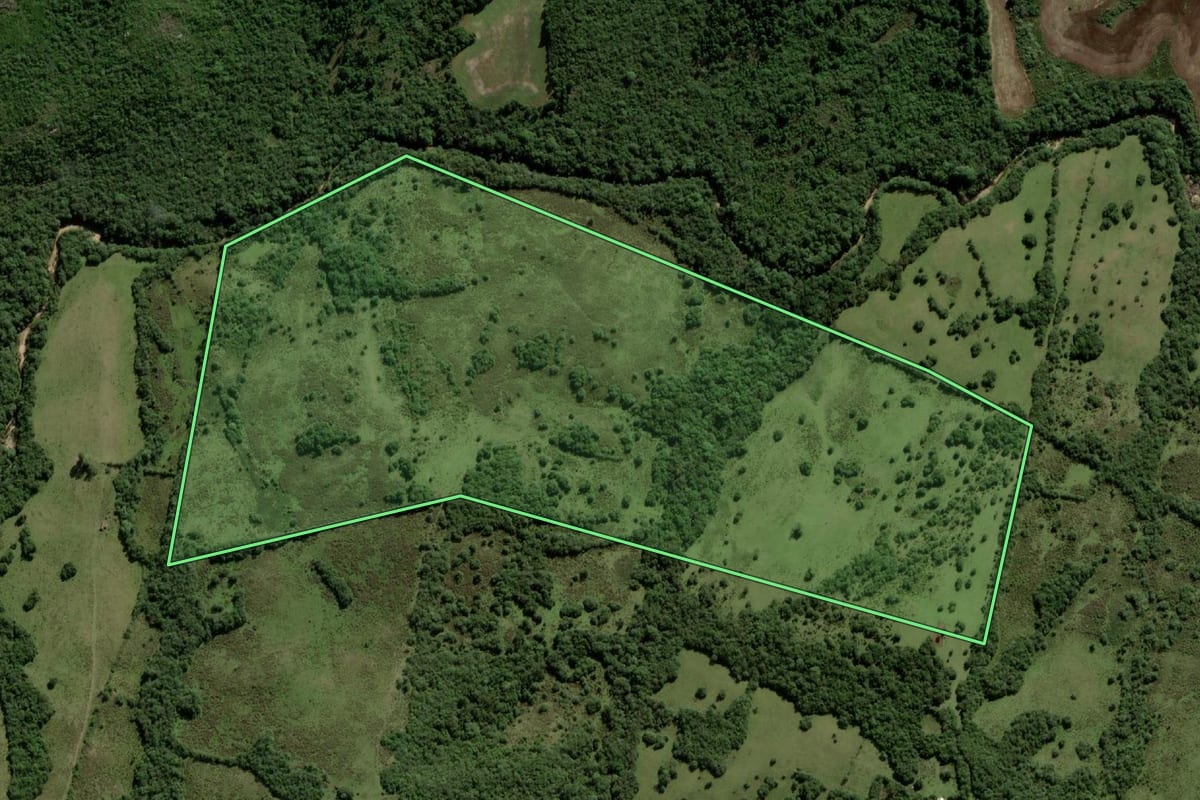 Imagem de satélite do imóvel rural em Herval (RS), com o contorno declarado no CAR desenhado por cima.