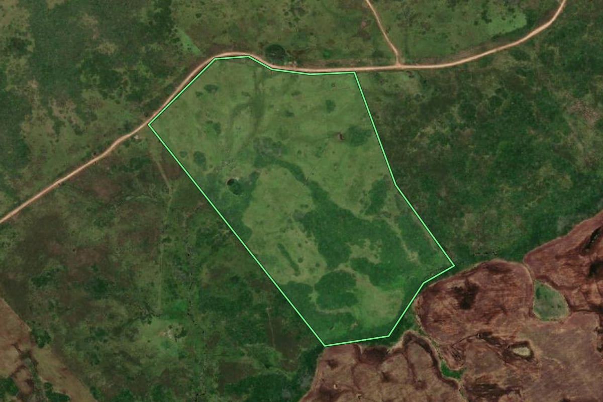 Imagem de satélite do imóvel rural em Herval (RS), com o contorno declarado no CAR desenhado por cima.