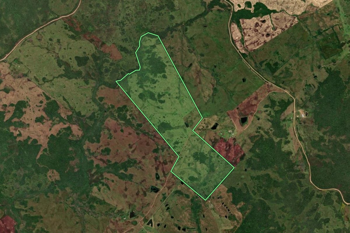 Imagem de satélite do imóvel rural em Herval (RS), com o contorno declarado no CAR desenhado por cima.