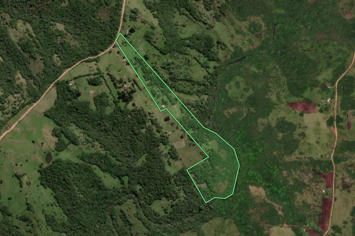 Imagem de satélite do imóvel rural em Herval (RS), com o contorno declarado no CAR desenhado por cima.