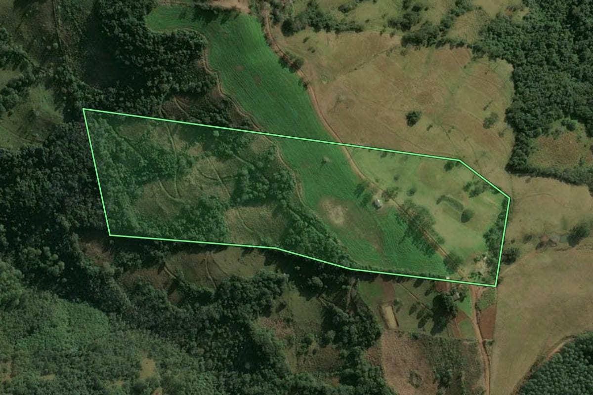 Imagem de satélite do imóvel rural em Erval Grande (RS), com o contorno declarado no CAR desenhado por cima.
