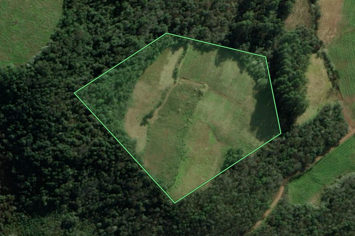 Imagem de satélite do imóvel rural em Erval Grande (RS), com o contorno declarado no CAR desenhado por cima.
